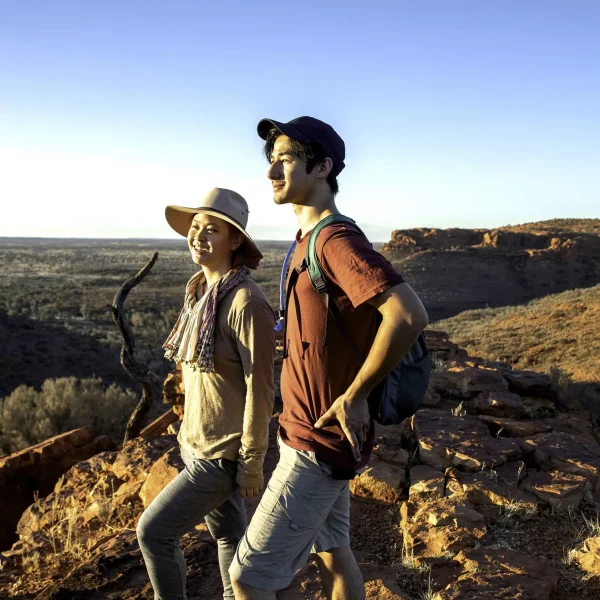 kings canyon tour