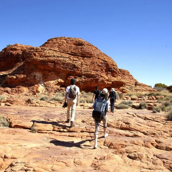 kings canyon tour from uluru