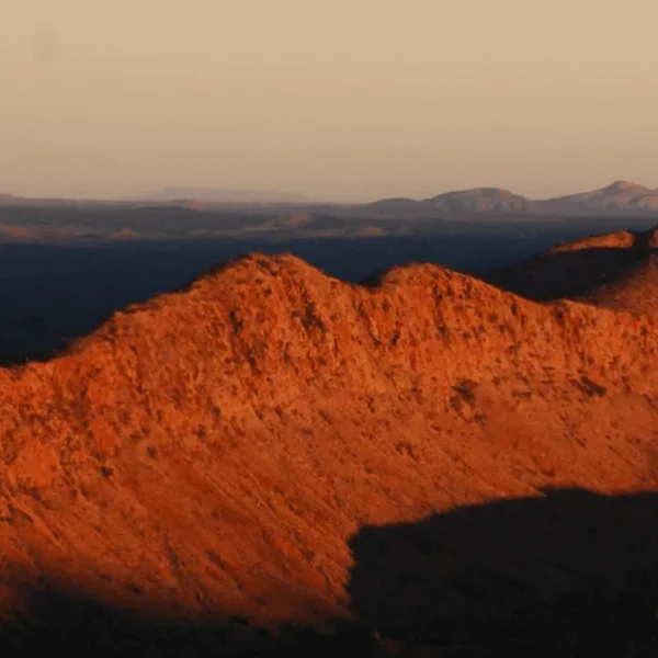 larapinta walking tours