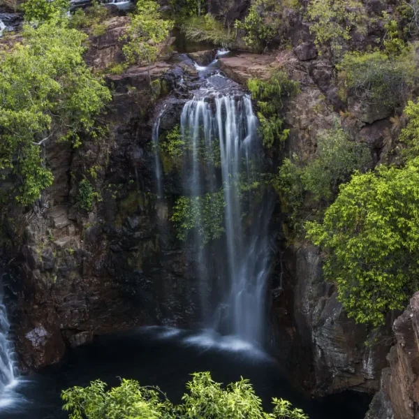 litchfield day tours from darwin