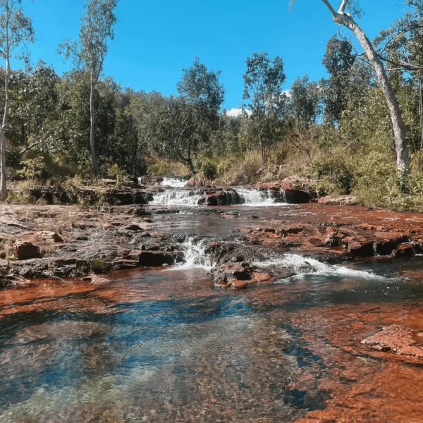 litchfield national park tours from darwin