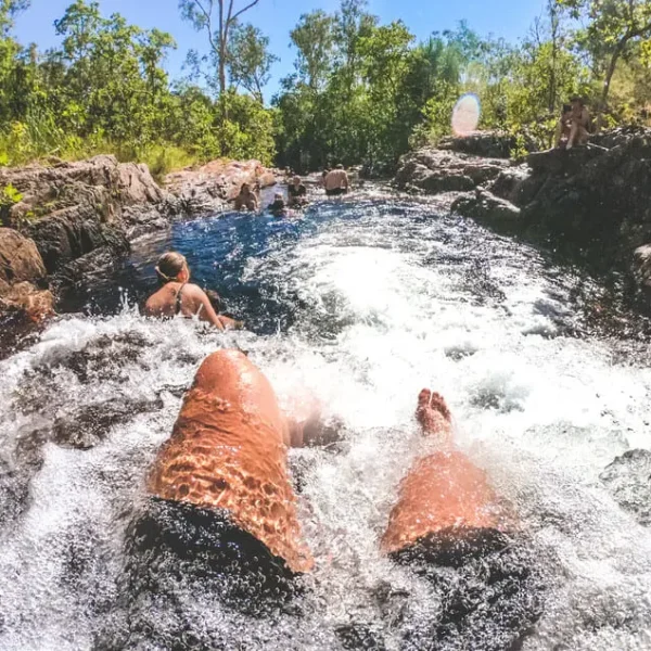 tours litchfield national park