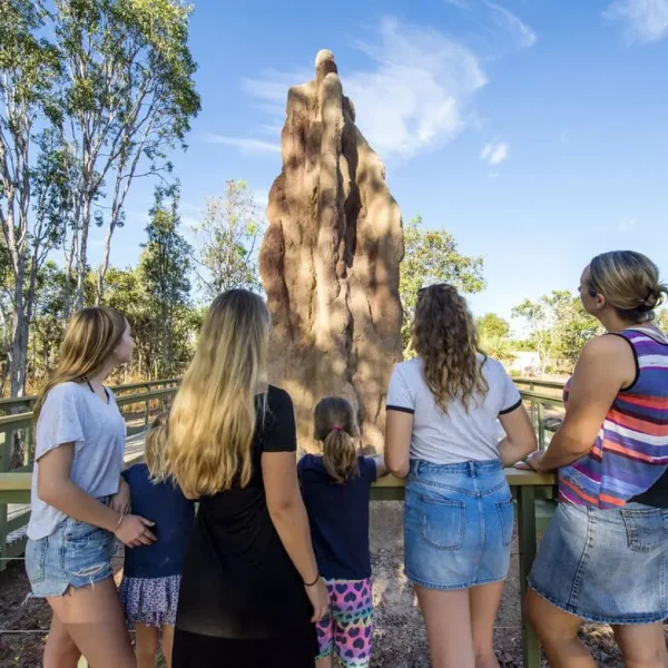 litchfield day tours