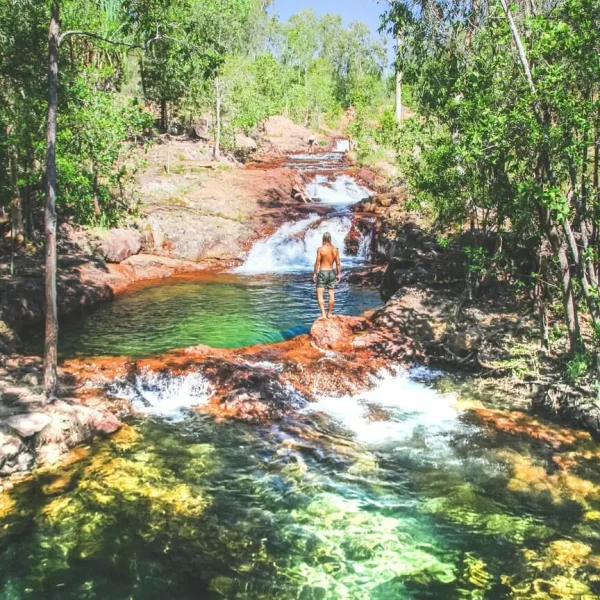 litchfield national park day tour