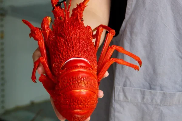 local seafood in Port Campbell