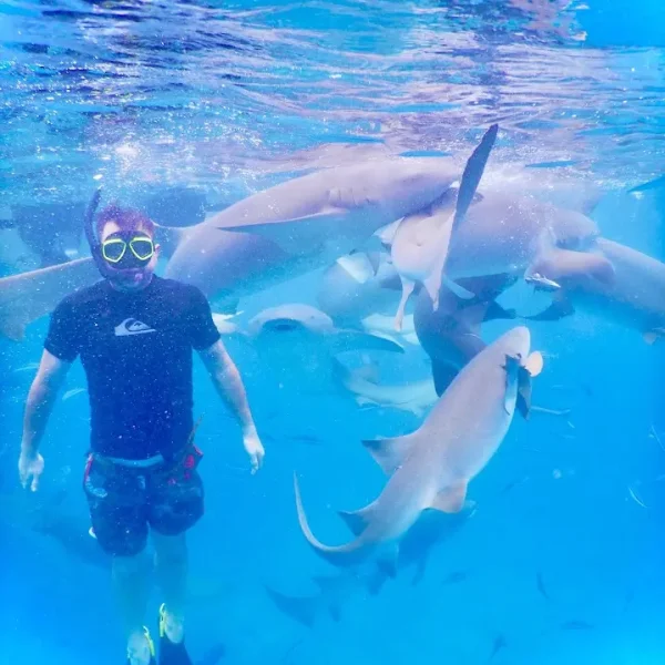 maldives tour