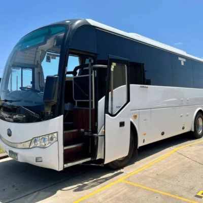 melbourne penguin tour