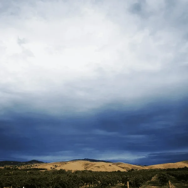 melbourne to adelaide road tours 2 days