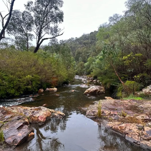 melbourne to adelaide via great ocean road in 3 days