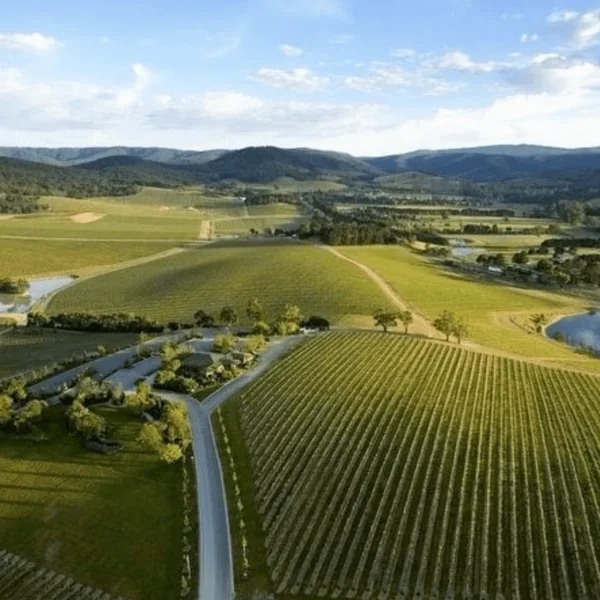 melbourne wine tour yarra valley