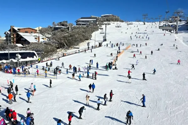 mount buller trips