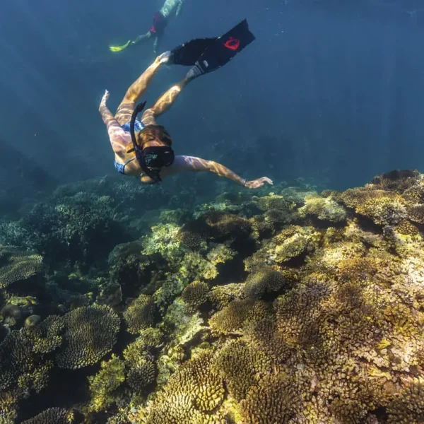 ningaloo reef tour