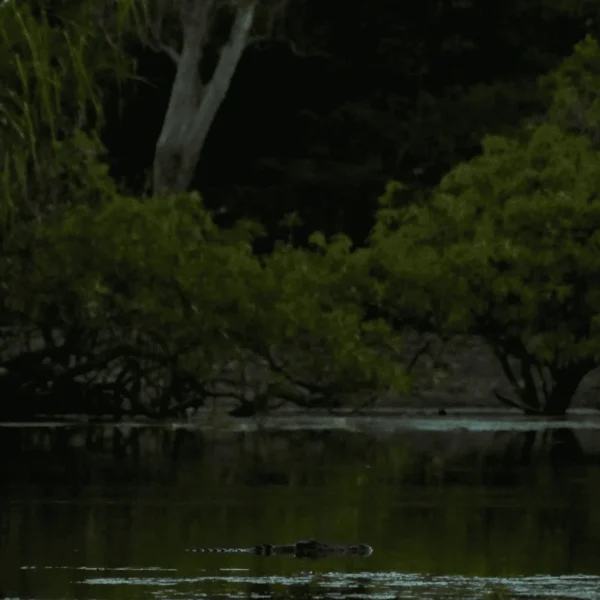 northern territory 4wd tours