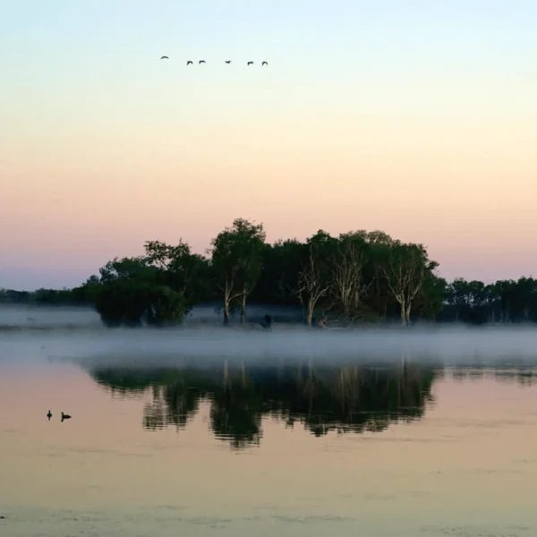 northern territory camping tours