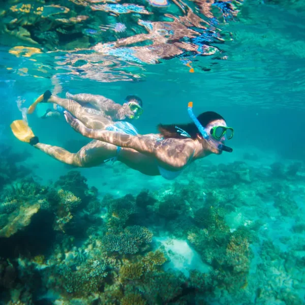 7 day tours from perth