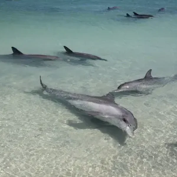 perth to exmouth tour 7 days