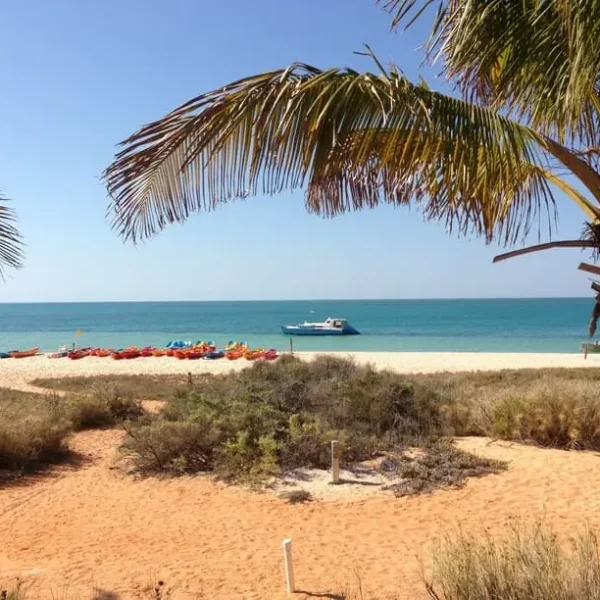 perth to shark bay road trip