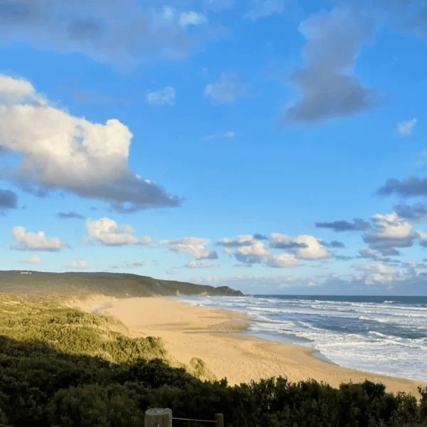 private tour great ocean road