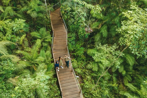Daintree Rainforest & Port Douglas 3 Day Tour