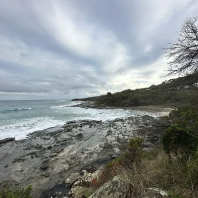 reverse tours great ocean road