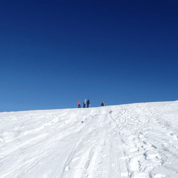 ski fields near melbourne