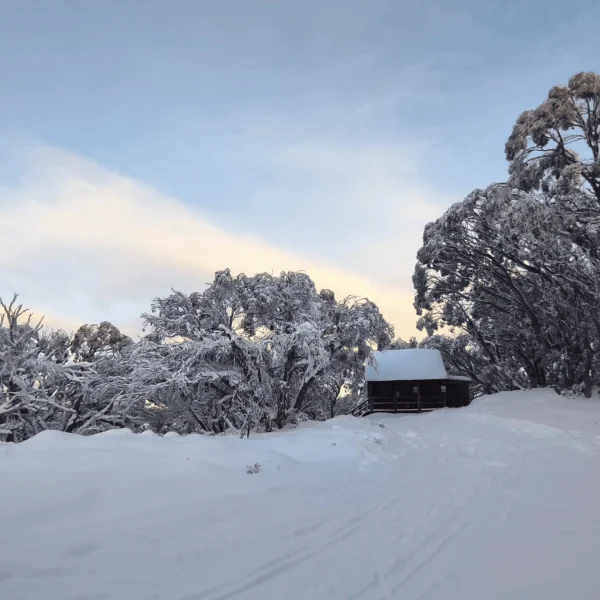 ski victoria
