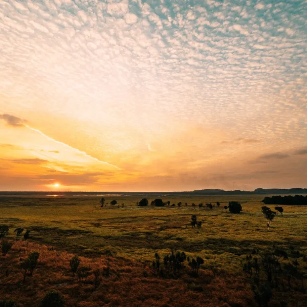 top end day tours
