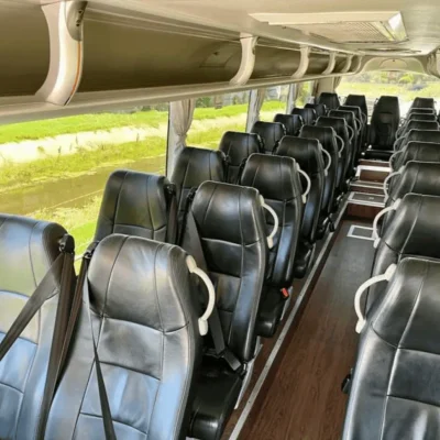 tour great ocean road