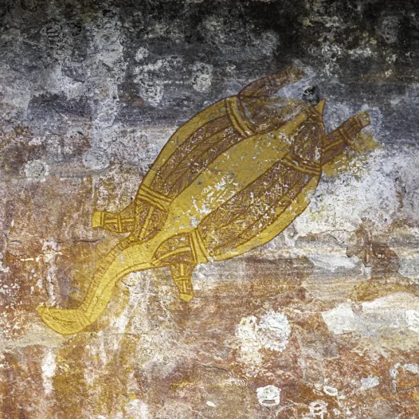 tour kakadu