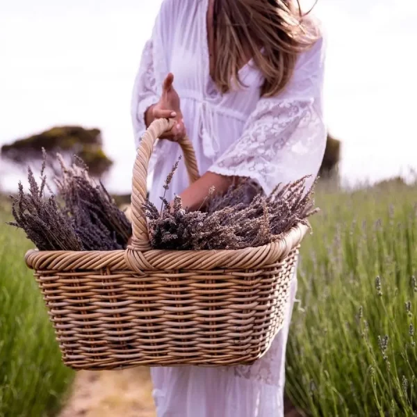 tour to kangaroo island