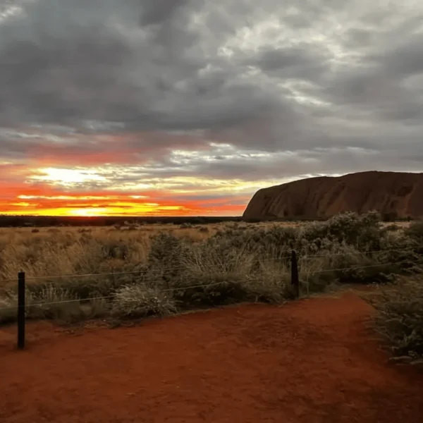 tours from alice springs to uluru