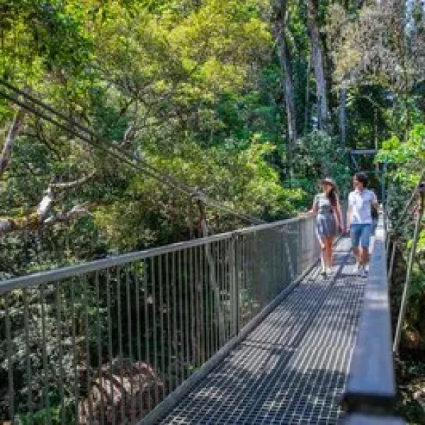 tours in nsw