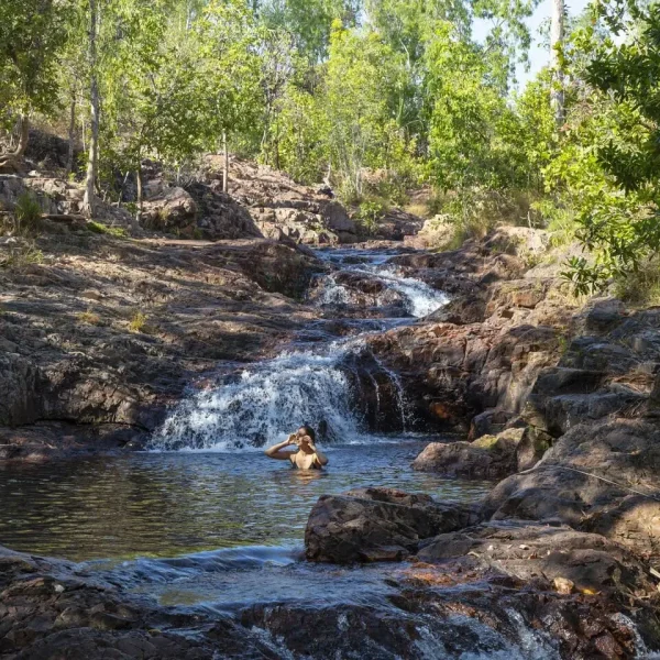 litchfield park tours