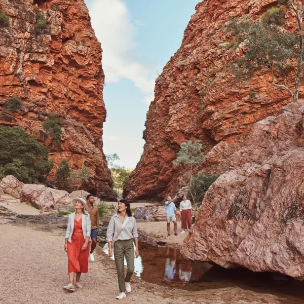 tours to kings canyon from uluru