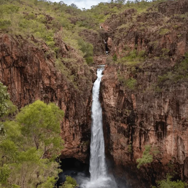 tours to litchfield national park