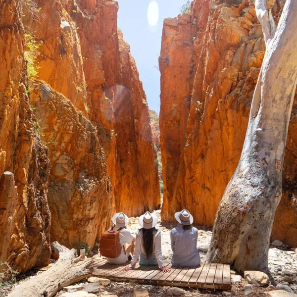 west macdonnell ranges full day tour