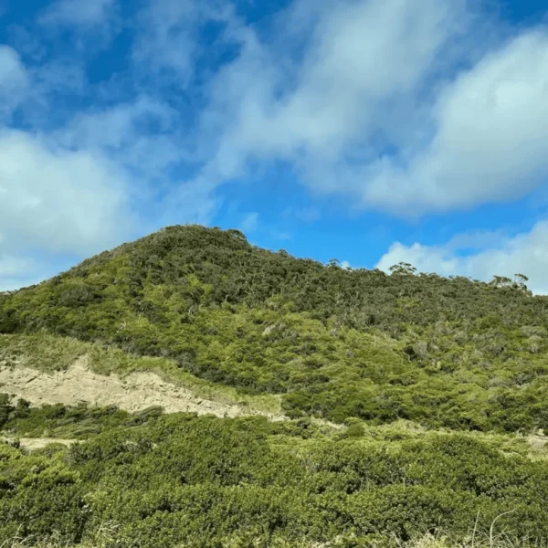 trip to great ocean road