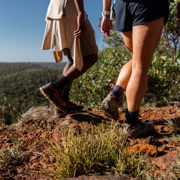 uluru bushwalking tours