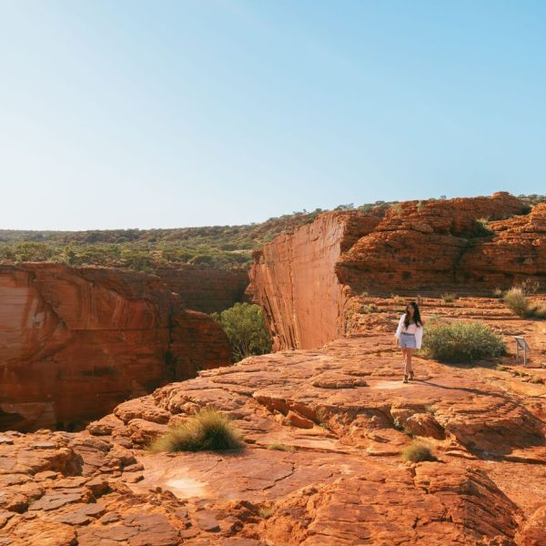 uluru camping tour 3 days