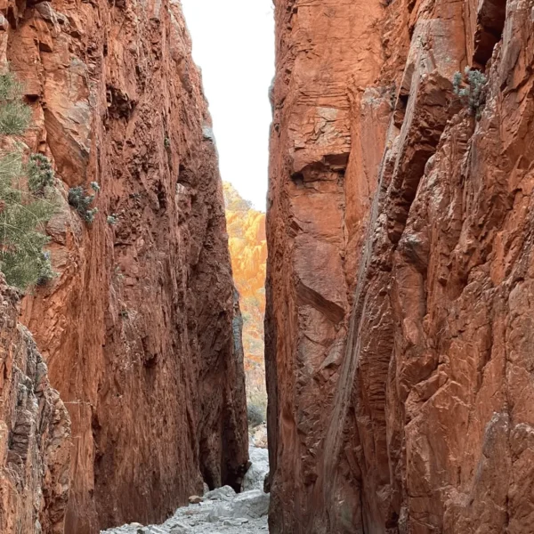 uluru day tours from alice springs