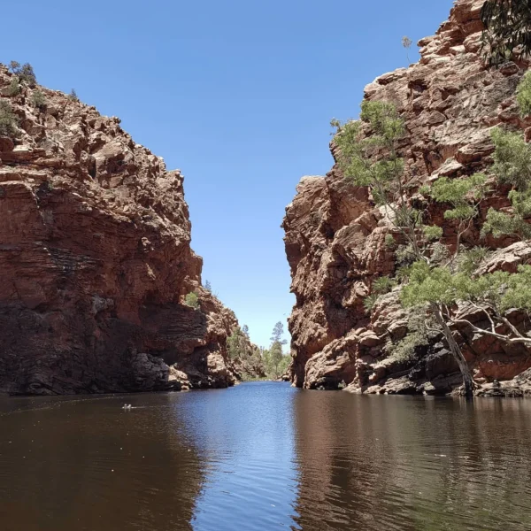 uluru day trip from alice springs