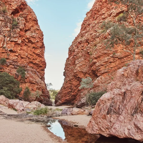 uluru kings canyon olgas tour