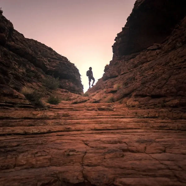 uluru kings canyon tour