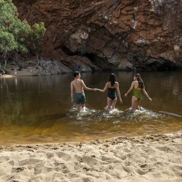 uluru olgas kings canyon tour