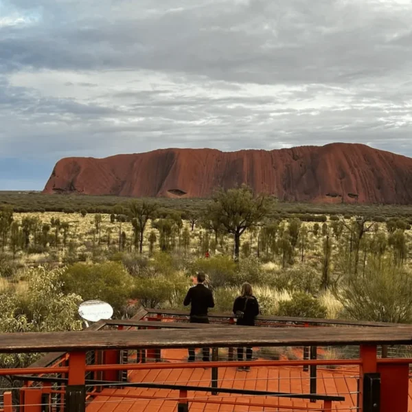 uluru to alice springs tour