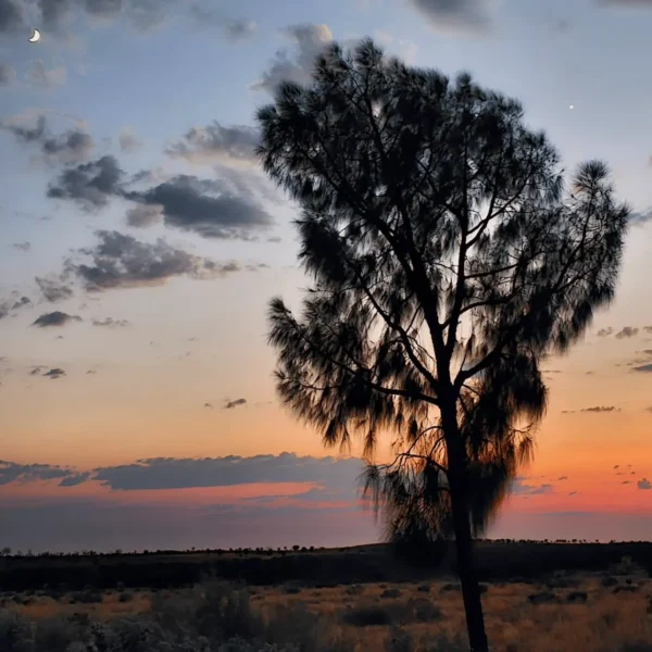 uluru tour packages
