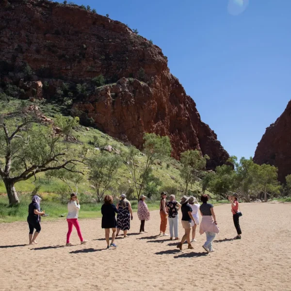 alice springs day trips