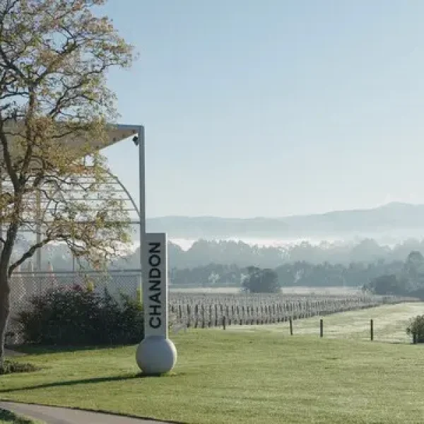 vineyard tours melbourne