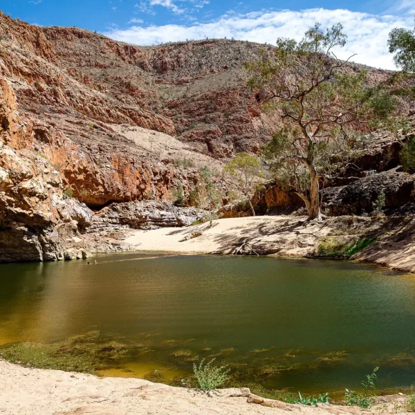 day trips alice springs