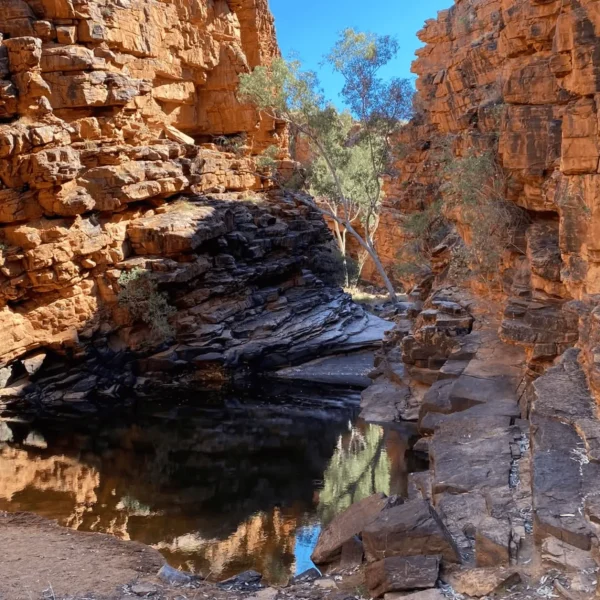 west macdonnell ranges day trip from alice springs